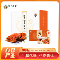 【礼券】阳澄紫牌苏州精品大闸蟹礼券1888型 公蟹4.5两/只 母蟹3.5两/只 4对8只 螃蟹礼盒 礼品卡 海鲜