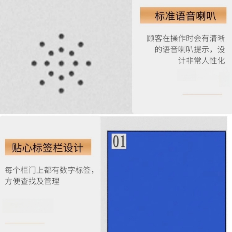 伟樽智能储物柜指纹识别10门850*460*1800mm台高清大图