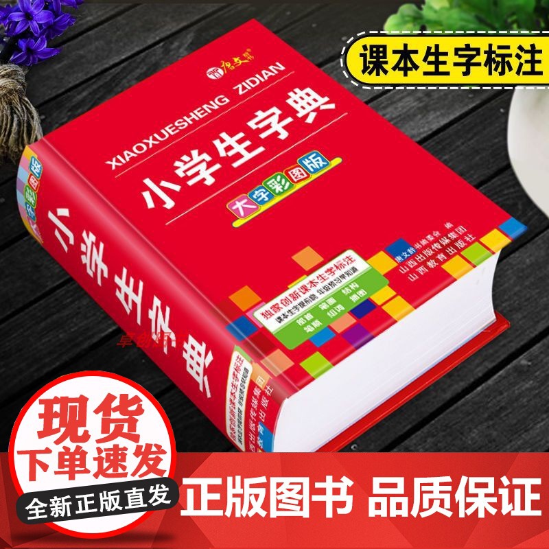 字典小学生专用1-6年级通用版2024年人教版 小学生字典非新华多功能字典12版双色本大字彩图正版笔顺规范笔画近反义词速高清大图