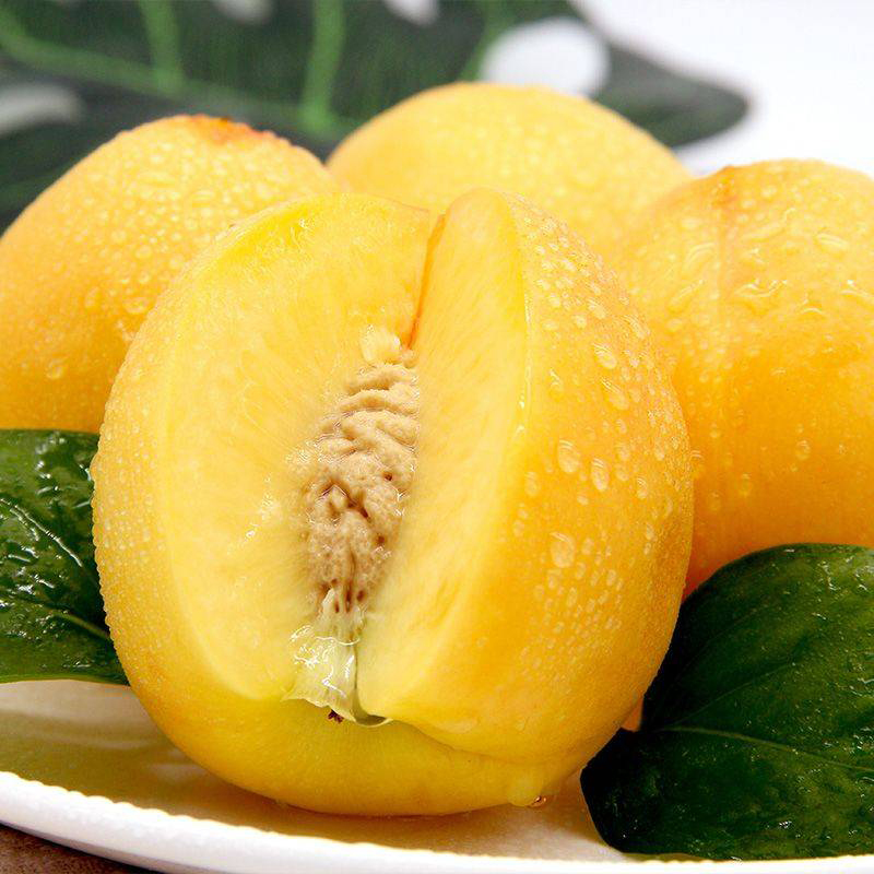 顺丰快递[西沛生鲜]蒙阴黄金油桃整箱净重4.5-5斤斤装 当季现摘蜜心新鲜水果 熊猫鸟高清大图