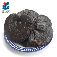 蓝之灵紫灵芝100g/盒可自行打粉 煲汤泡酒 滋补