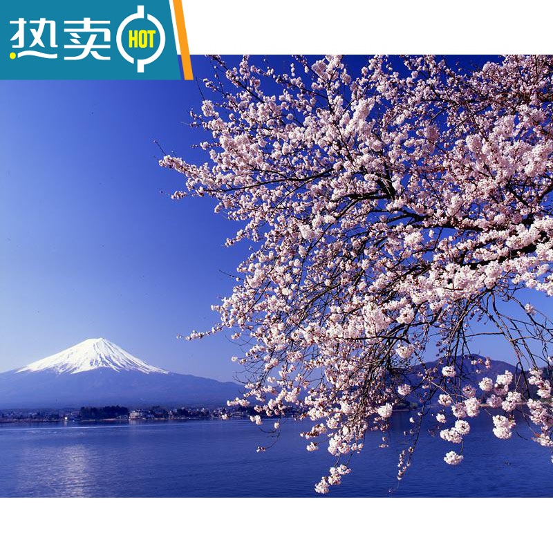 敬平数字油画diy手工绘画填色现代简约风景挂画装饰画富士山樱花装饰画 602富士山 彩色画板+颜料画笔+配件60*75钉好加厚内框+双份颜料