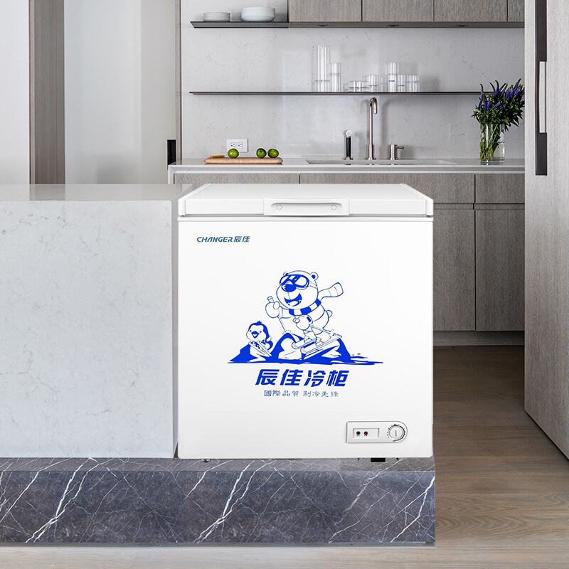 辰佳(Changer) BC/BD(W)-175 175升家用小冰柜商用节能顶开门卧式冷柜 冷藏冷冻 白色