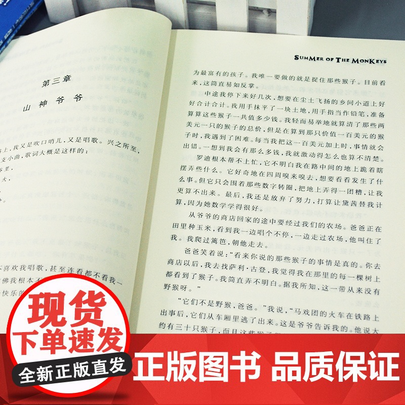 国际大奖小说夏日历险成长版新蕾出版社小学生三四五六年级课外书必读老师阅读人教版纽伯瑞儿童文学金奖系列国际安徒生奖高清大图