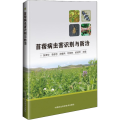 苜蓿病虫害识别与防治