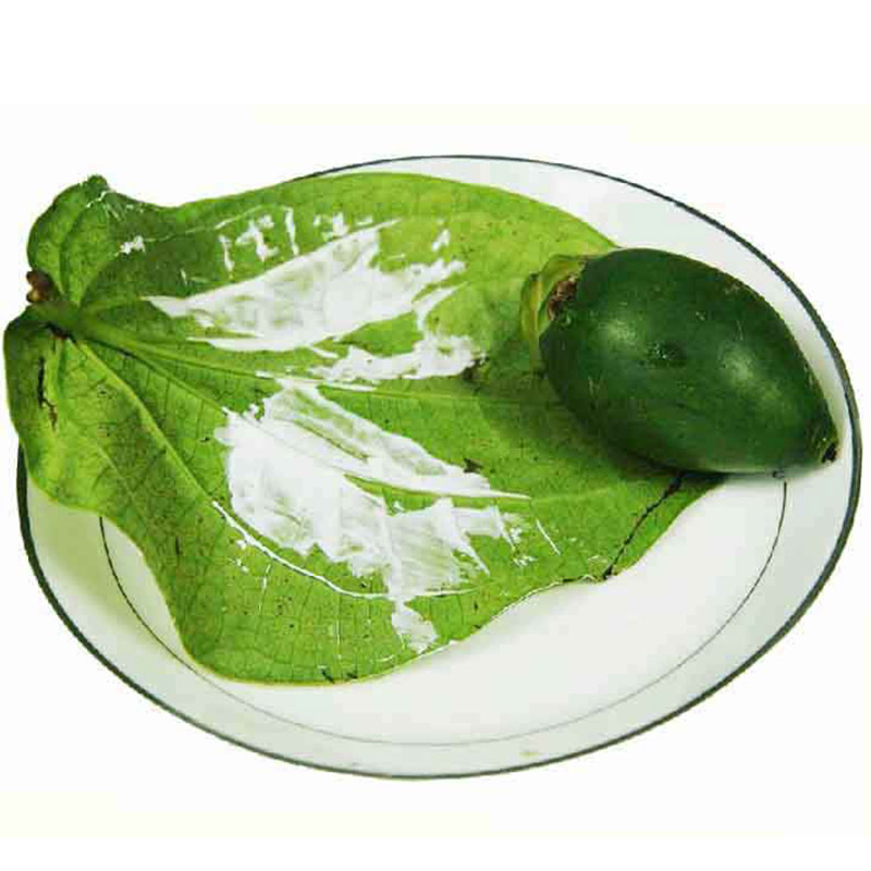 500g槟榔甜贝壳粉海南新鲜生槟榔槟榔果青果冰榔水果