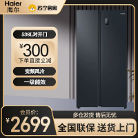 统帅(leader)海尔出品 538升对开门冰箱 DEO净味 一级双变频 超薄嵌入冰箱 BCD-538WGLSSEDBX