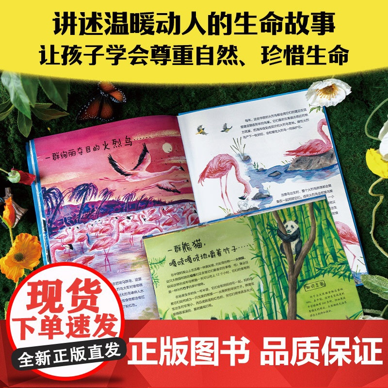 [6-12岁]我爱野生动物 本·勒维尔 哈里特·霍布迪著 中信出版社图书 正版高清大图