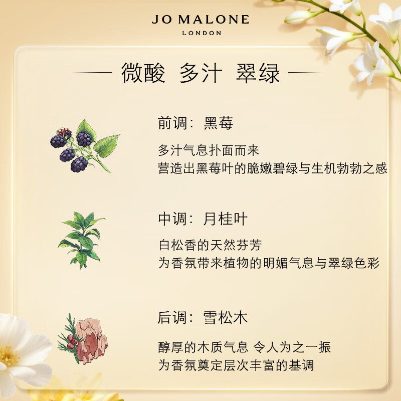 祖玛珑(Jo MALONE LONDON) 香水黑莓与月桂叶香水30ml 迷醉果香高清大图