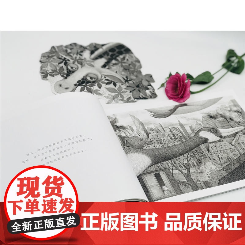 几米:谢谢你毛毛兔 幾米 九州出版社 正版书籍高清大图
