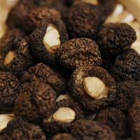 一品爽 珍珠菇100g/罐 金钱菇珍珠菇 南北干货 肉厚味鲜新货南北干货