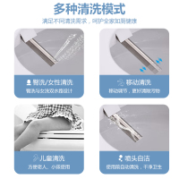 湯川秀樹 智能马桶 中小户型专用 小尺寸全自动家用一体式250-400mm坑距 即热遥控自动冲水烘干智能坐便器