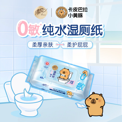 清风纯水湿厕纸家庭实惠装洁厕湿巾私处擦屁屁股男士女士专用女性60片*2包