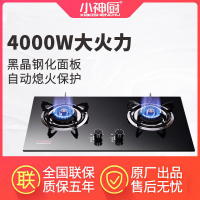小神厨DS5509燃气灶煤气灶双灶家用嵌入式炉灶天然气灶液化气灶台式