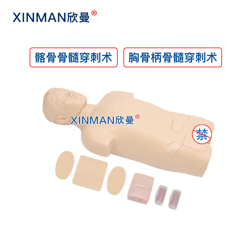 欣曼科教 骨髓穿刺模拟人 骨髓穿刺训练模型 医学教学人体模型XM-1011高清大图