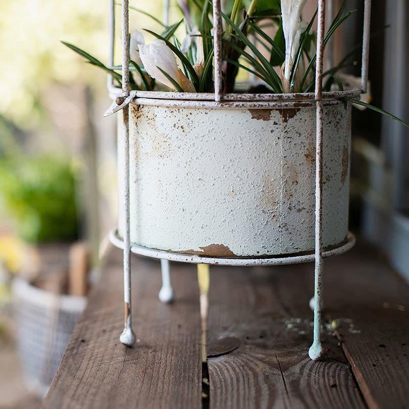 美帮汇铁艺鸟笼圆柱花架爬藤架花盆花器装饰支架复古摆件多肉种植图片