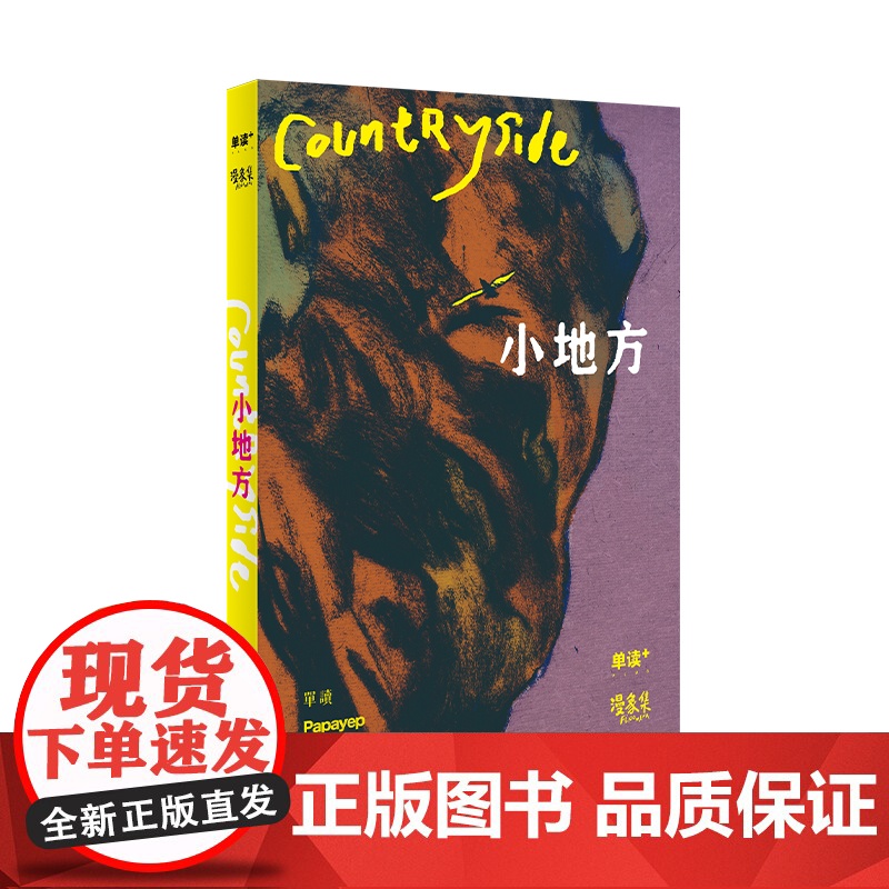 正版 小地方 单读PLUS漫象集特约主编杨成桦Papayep工作室联合独立漫画记录乡村县城变化上海文艺出版社单向空间高清大图
