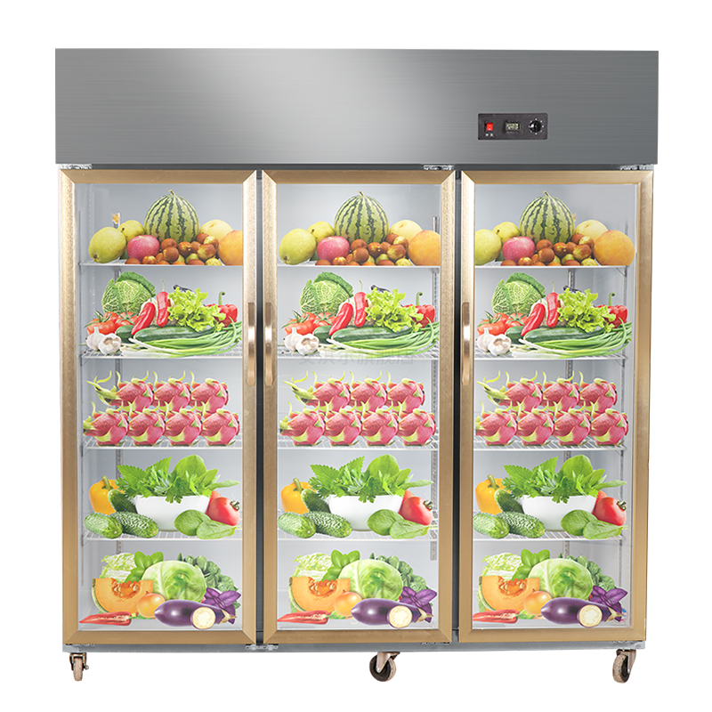 安淇尔商用双门厨房冰箱 全冷藏立式冰柜 玻璃门岛柜