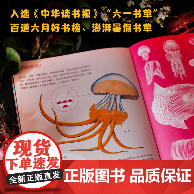 水母花园 宝拉·维塔利著国际大奖科普作品少儿科学绘本启蒙百科全书恐龙海洋动物儿童趣味科普绘本水母自然史科普书籍 译林出版高清大图