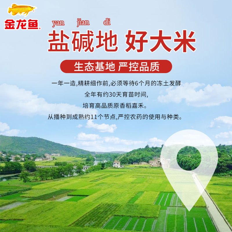 金龙鱼盘锦大米500G高清大图