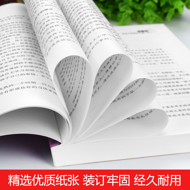 全3册陪孩子走过小学六6年小学生提高学习成绩的技巧考试不可怕樊登推荐学习惯养成能力培养家长教育孩子小学 小学通用 [正版高清大图