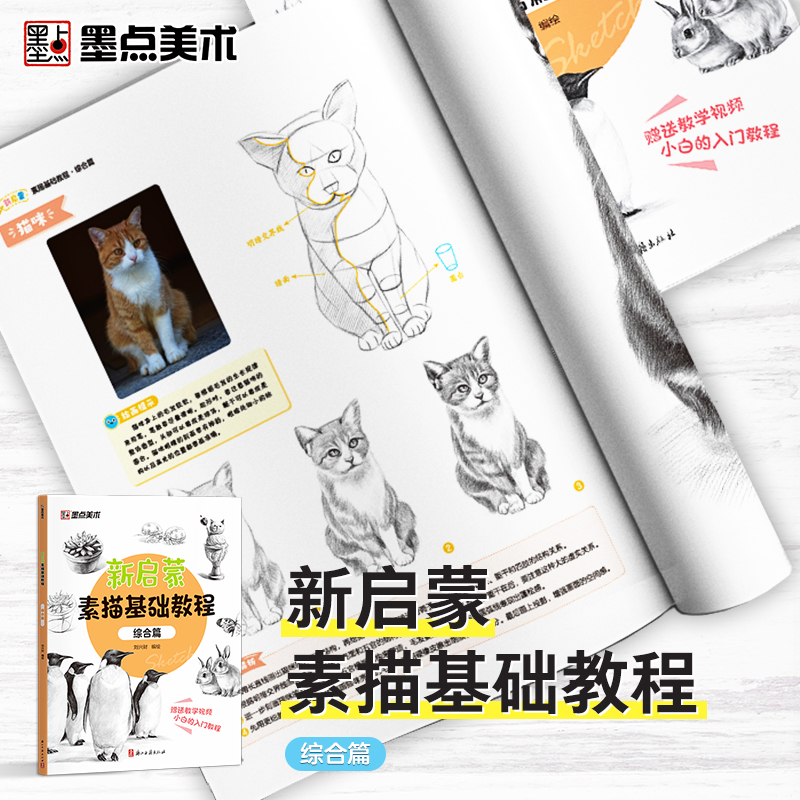 [1册]新启蒙素描基础教程·综合篇 [正版]墨点美术新启蒙素描基础教程综合篇零基础学生小白绘画入门教程书籍带视频教学单体高清大图