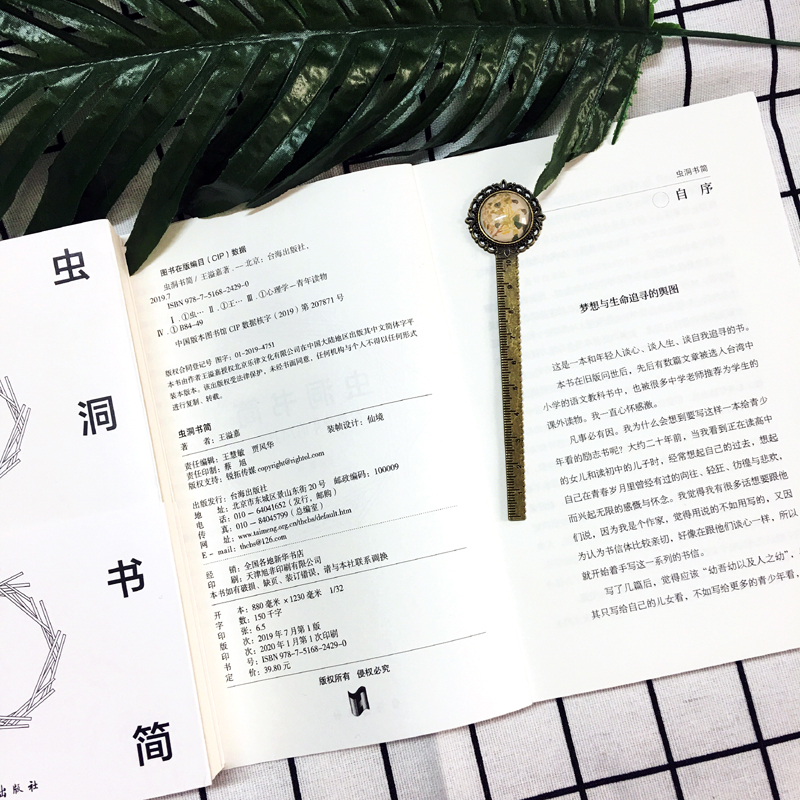 虫洞书简 给青少年的74封信初中高中蔡康永力荐儿童心理学让你轻松应对各类作文文体等你在清华北大青春励志