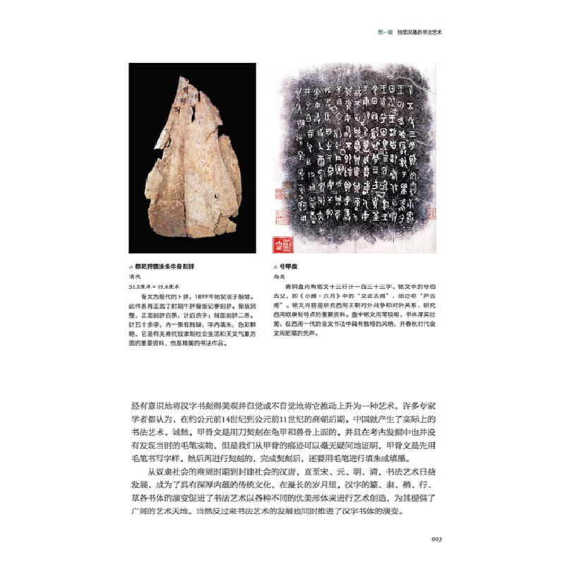 正版新书]书法文化张柏9787520516945高清大图
