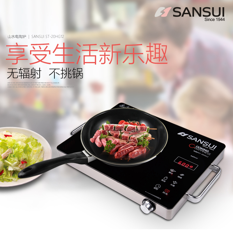 山水(SANSUI) DTL-20 超薄触摸全钢电陶炉大火力 低噪音 黑色高清大图