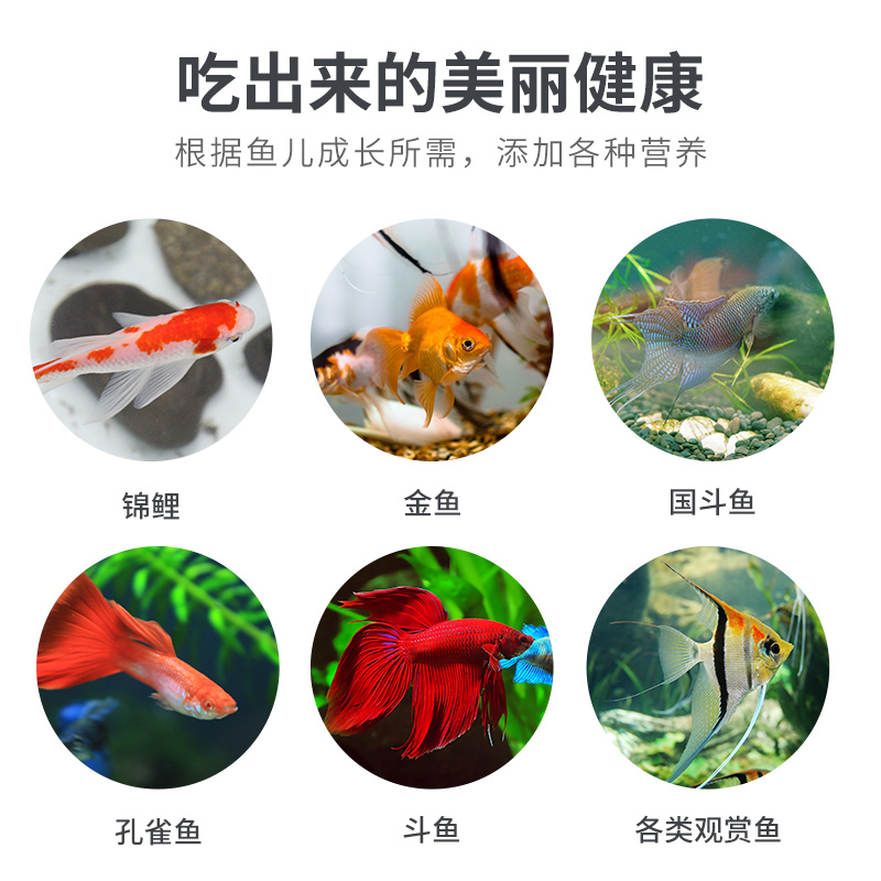 观赏鱼饲料金鱼孔雀饲料鱼食热带鱼小型颗粒鱼粮锦鲤鱼食高清大图
