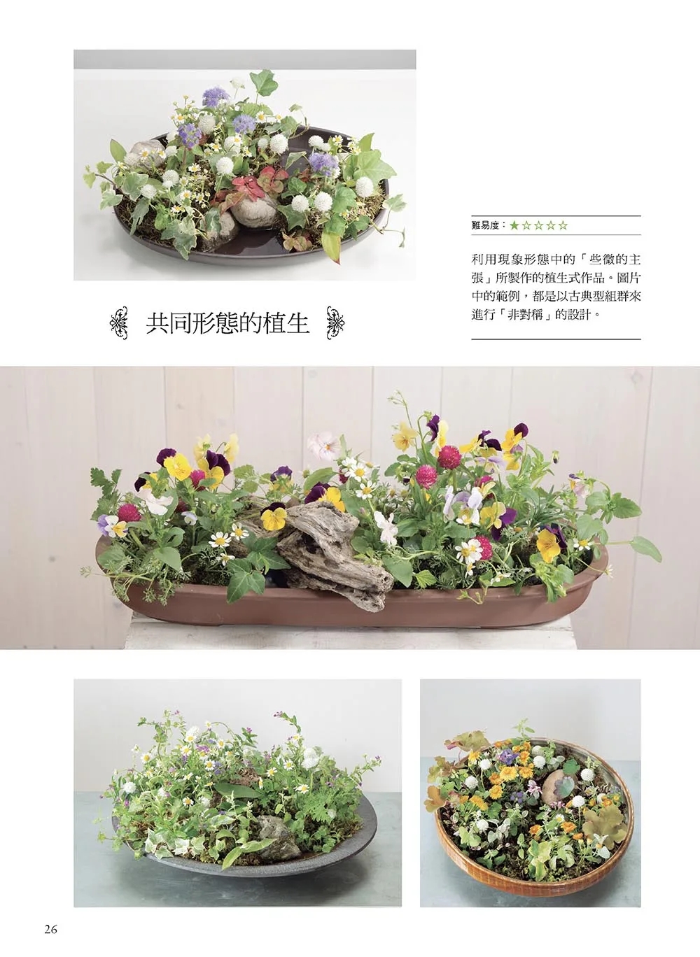 [醉染正版] 花艺设计基础理论学(修订版)学习花的构成技巧‧色彩调和‧构图配置 22 唐静羿 喷泉文化馆 进口原版高清大图