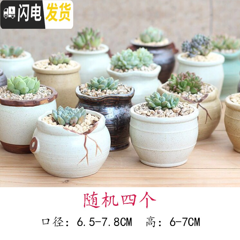 三维工匠麦饭石多肉花盆特价陶瓷手绘粗陶复古爆裂创意大老桩盆栽室内 乳白色清新小盆随机4个 中等_163