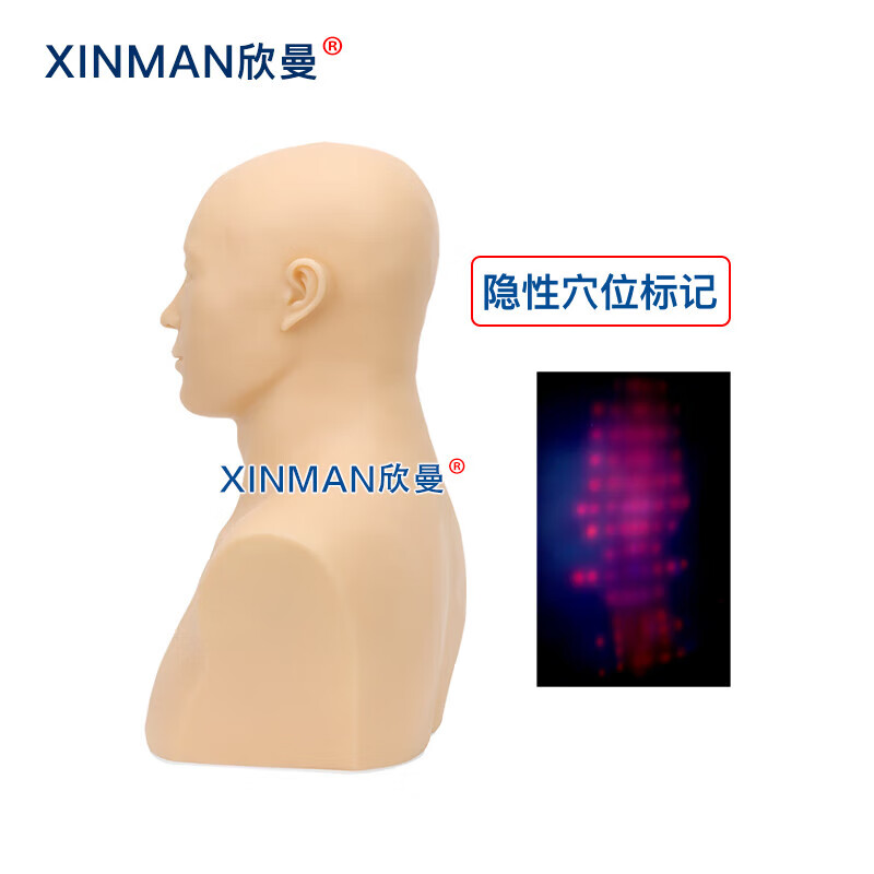 欣曼科教 针灸头部训练模型 头部针灸针刺扎针练习模型XM-ZC01高清大图