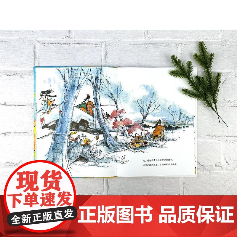 大熊的盒子高清大图