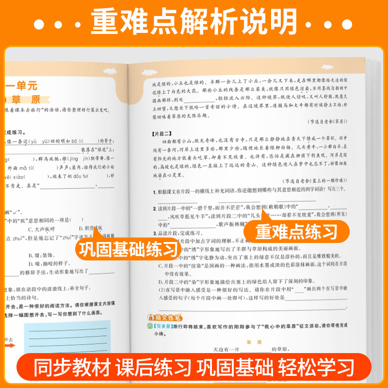 [2本]语文+数学(人教版) 二年级上 [正版]2024秋课时优化训练一二三四五六年级上册下册语文数学英语科学人教北师大