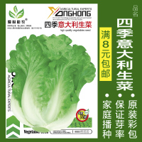 蔬菜种子四季播种阳台农家盆栽香菜菠菜生菜韭菜小葱草莓籽孑大四 均码 四季意大利生菜约500粒