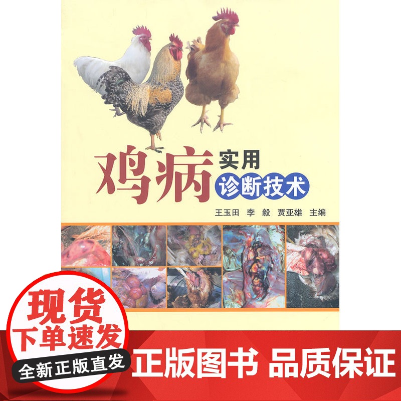鸡病实用诊断技术高清大图