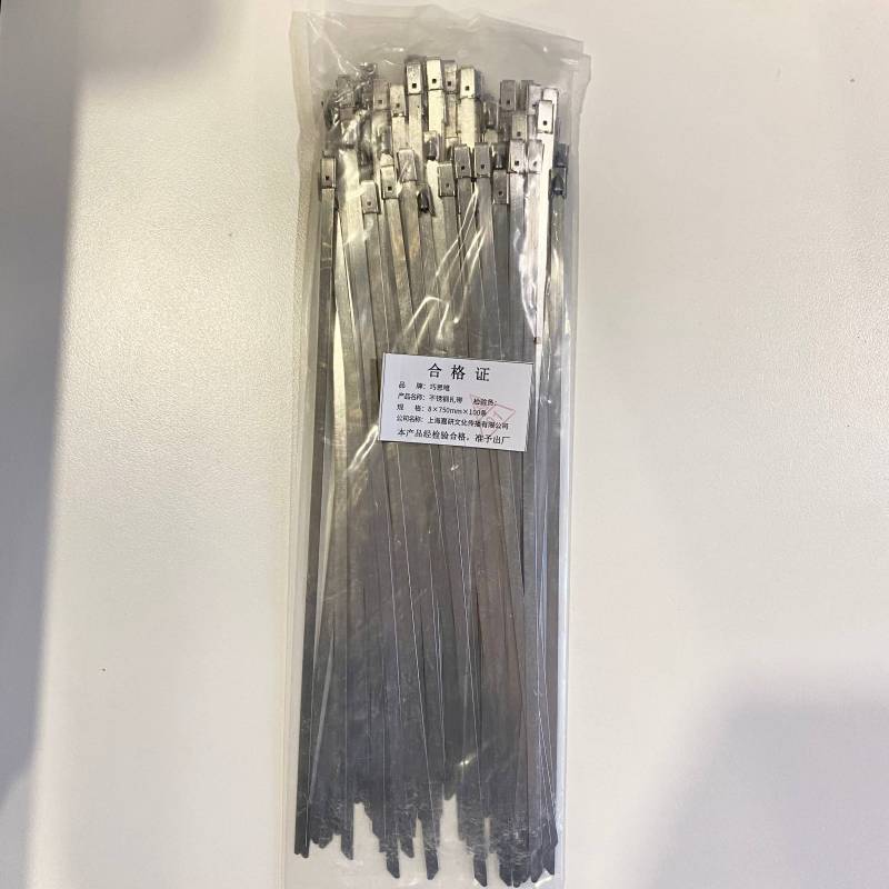 巧思唯 不锈钢扎带 8*750mm*100条 包高清大图