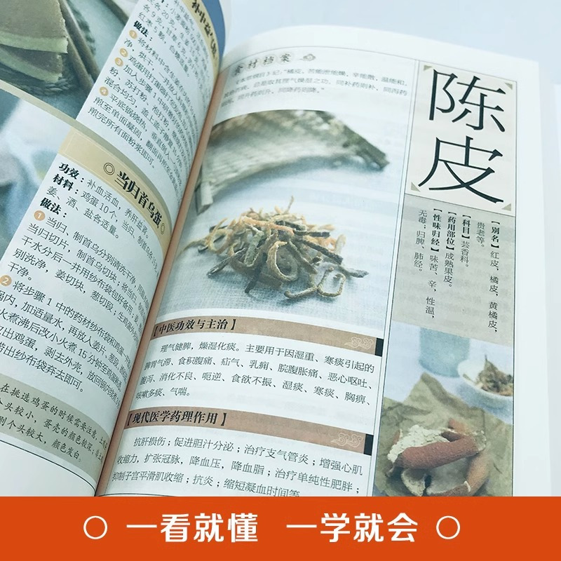 中医养生-饮食术-减糖生活 [正版]抖音同款餐桌上的中药中医五大名著黄帝内经原版本草纲目李时珍土单方书百病食疗大全张至顺