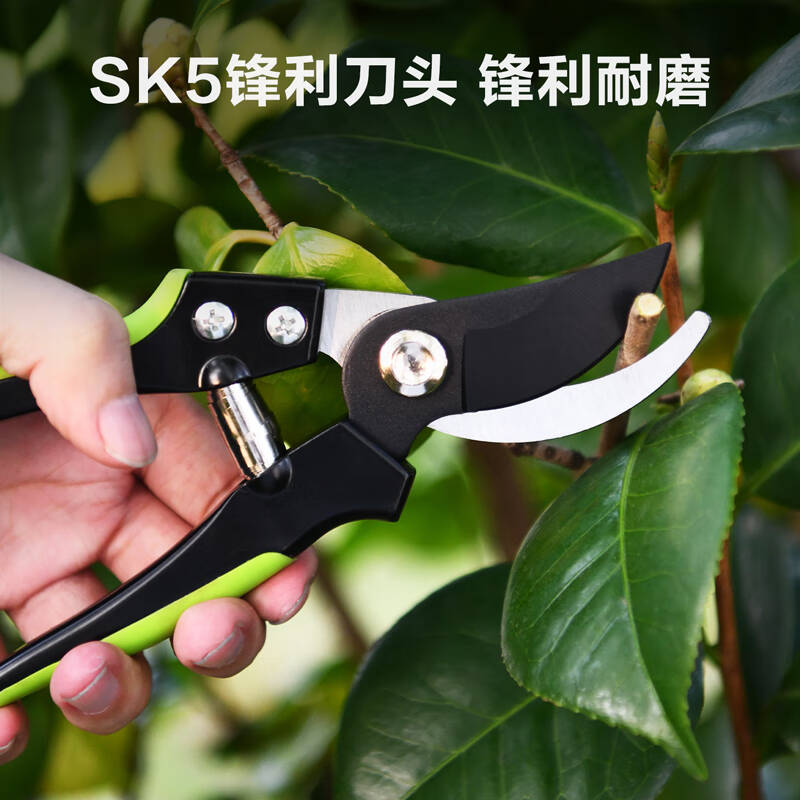 得力工具DL2770_不锈钢弯嘴花木剪8“(新VI)高清大图