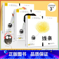 【全3册】感知力系列 【正版】感知力系列绘本全3册 声音·颜色·线条4-6岁儿童亲子专注力训练启蒙读物幼儿园中班大班小册