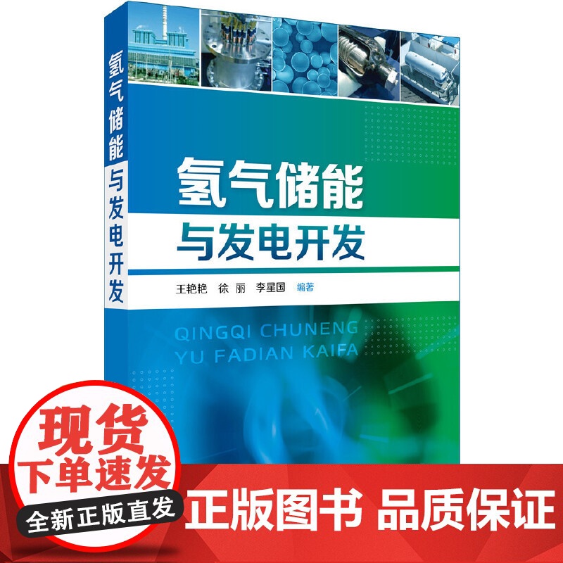 氢气储能与发电开发 王艳艳 化学工业出版社 正版书籍
