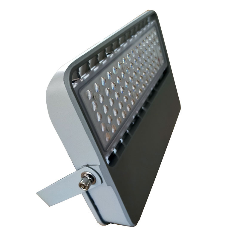 领航电器(LHDQ) LHE2365/G LED应急投光灯 30W 冷光 220V 应急时间120min IP65