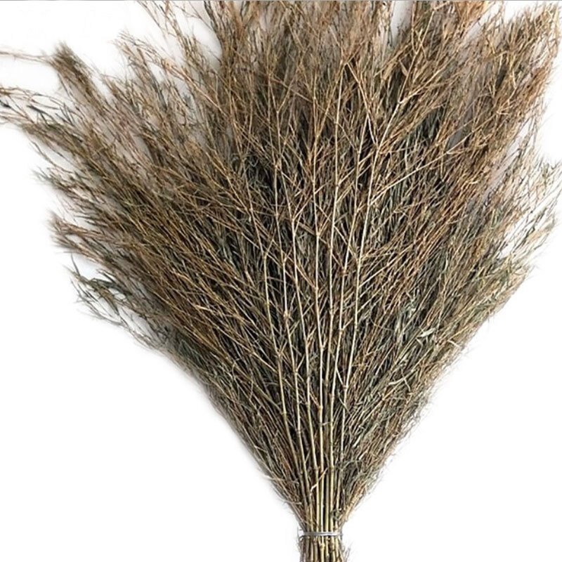 海斯迪克hk8028竹子扫把竹扫帚马路工地扫把大竹扫环卫大扫帚竹竿扫帚