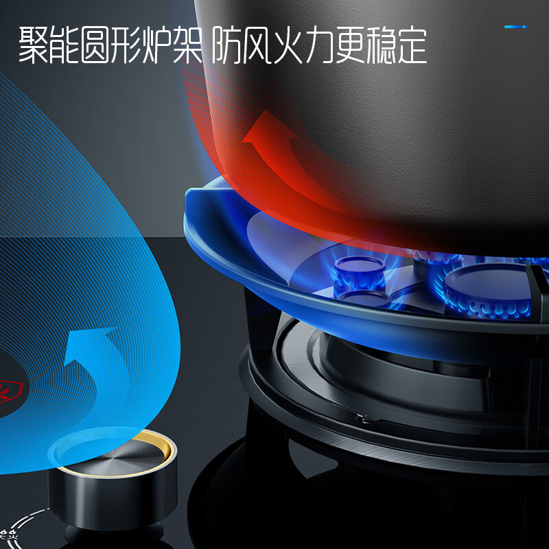 创维(Skyworth)燃气灶双灶 家用5.0kW猛火九孔聚能定时灶爆炒鸳鸯灶具 台式嵌入式灶台 Z211B液化气
