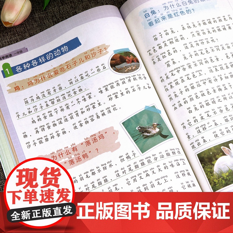 小橙同学科学年级阅读小学三四五六年级上册下册儿童趣味小实验游戏中的百科全书有趣的科学拓展人教版启蒙书同步课本教材书籍教辅高清大图