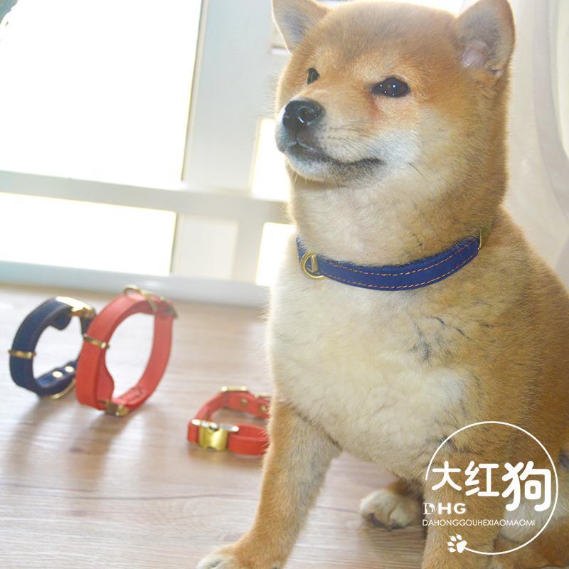 宠物牵引绳8m米 可自动伸缩狗绳子大中小型犬收缩狗绳子拉布拉多
