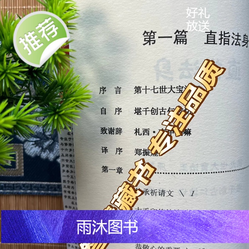 直指法身 第九世大宝法王旺秋多杰著 创古仁波切教授 简体横排高清大图
