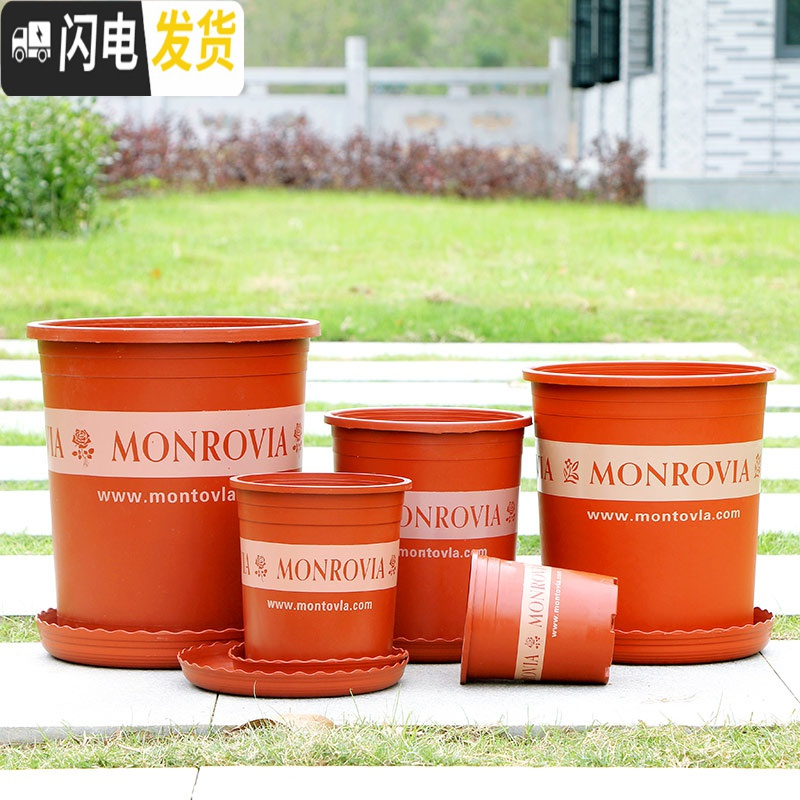 三维工匠塑料矮胖加仑花盆绿萝月季花多肉育苗盆加厚小加仑盆 高加仑1号不含托盘5个装[满十送一] 大花盆容器