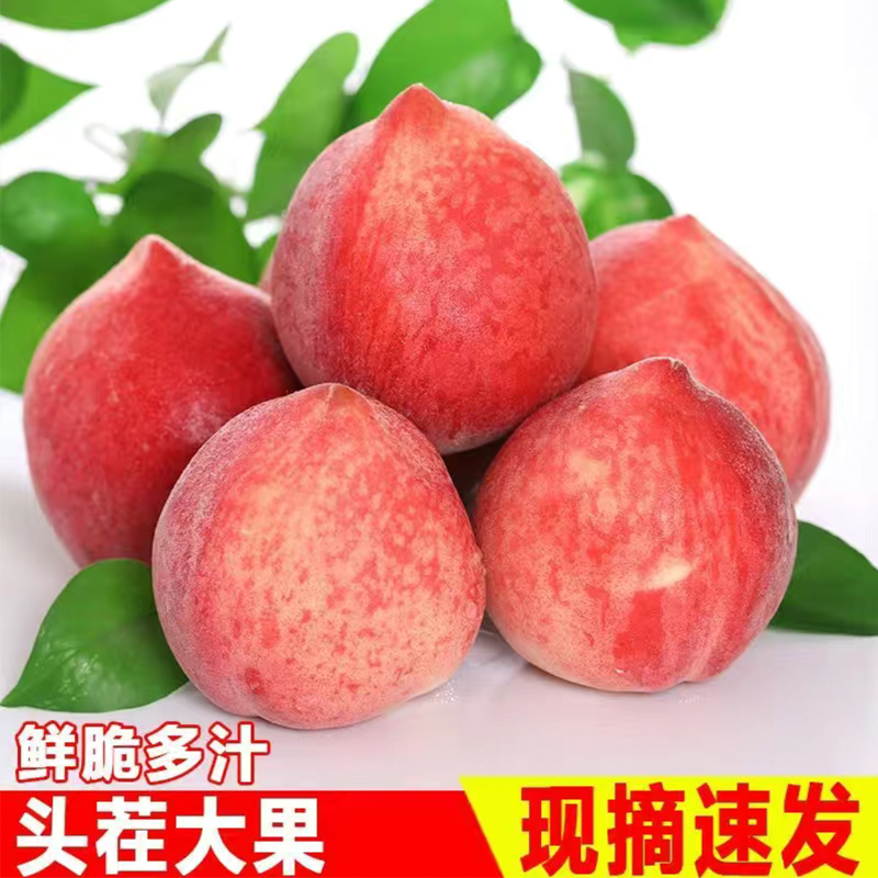 [新上市]新鲜水蜜桃春雪水蜜桃 3斤 桃子 新鲜水果 生鲜水果 陈小四水果 特产